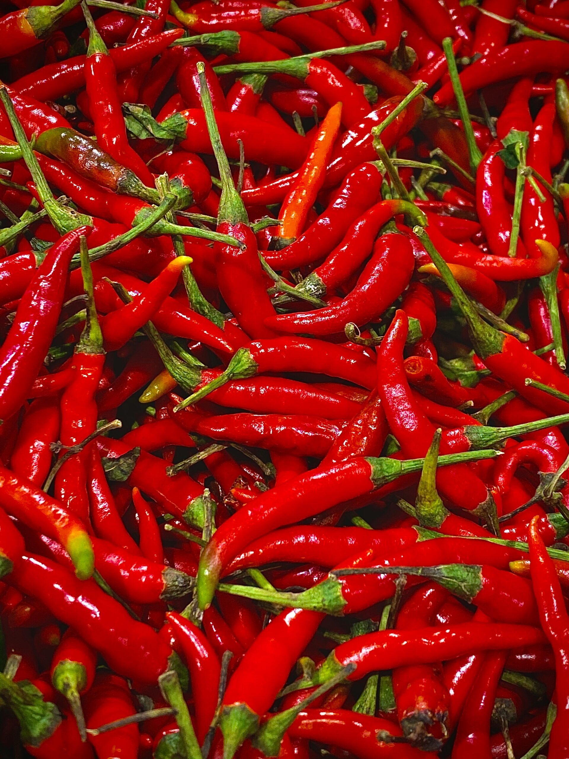 My Book Rating System: What My Stars (and Spice) Really Mean